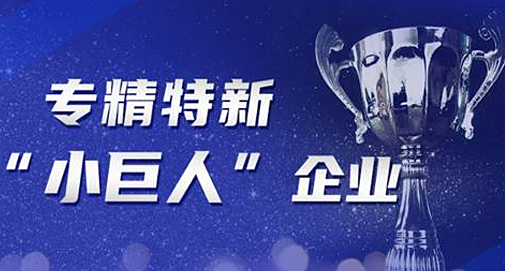 [喜報]熱烈祝賀我司獲得深圳“專精特新”企業(yè)榮譽稱號